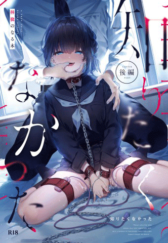 Thumbnail for Shiritakunakatta